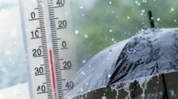 توقعات بأمطار وصقيع في وسط سيناء تهدد المحاصيل الزراعية خلال ساعات الأربعاء